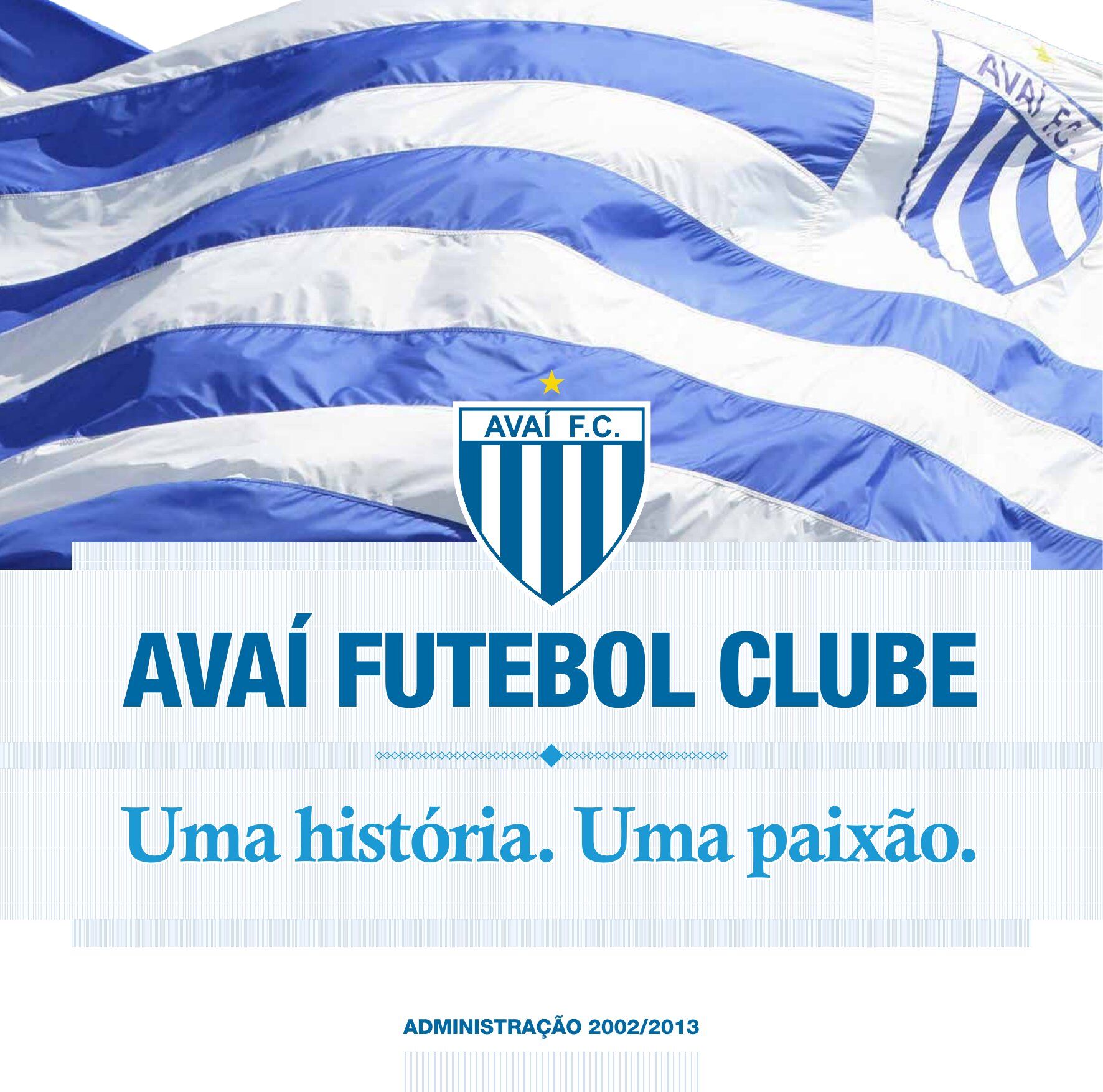 Capa Avaí Futebol Clube — Livro Institucional